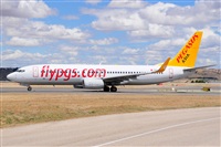 Miguel A. gueda Rguez.  (CANARY ISLANDS SPOTTING). Click to see full size photo