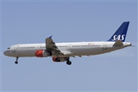 Saimon J Rodriguez   -   Canary Islands Spotting. Click to see full size photo