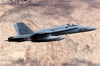 Adrin Alonso Lemes - Lanzarote Spotters. Click to see full size photo
