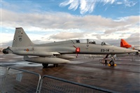 Bartolom Fernndez - Gran Canaria Spotters. Click to see full size photo