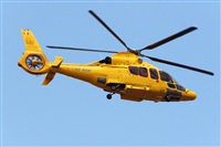 Adrin Alonso Lemes - Lanzarote Spotters. Haz click para ampliar