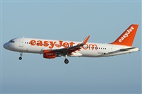 Alfonso Sols - Asociacin Canary Islands Spotting. Click to see full size photo
