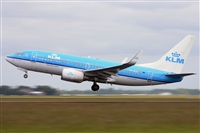 Miguel A. gueda Rguez.  (CANARY ISLANDS SPOTTING). Click to see full size photo