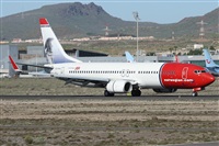 ©Alfonso Solís - Asociación Canary Islands Spotting. Click to see full size photo ©Alfonso Solís - Asociación Canary Islands Spotting. Click to see full size photo