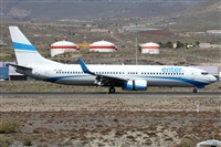 ©Alfonso Solís - Asociación Canary Islands Spotting. Click to see full size photo ©Alfonso Solís - Asociación Canary Islands Spotting. Click to see full size photo