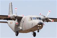 David Manuel Tobarra Ruiz - Spotters Murcia. Haz click para ampliar