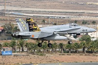 Adolfo Bento - Gran Canaria Spotters. Click to see full size photo