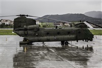 Iigo Olaizola -  BasqueSpotting. Click to see full size photo