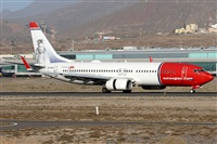 Alfonso Sols - Asociacin Canary Islands Spotting. Haz click para ampliar
