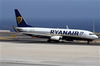 Alfonso Sols - Asociacin Canary Islands Spotting. Haz click para ampliar