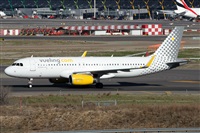 ©Alfonso Solís - Asociación Canary Islands Spotting. Click to see full size photo ©Alfonso Solís - Asociación Canary Islands Spotting. Click to see full size photo