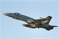 Tams. Click to see full size photo
