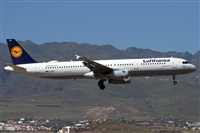 Alfonso Sols - Asociacin Canary Islands Spotting. Click to see full size photo