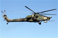 ©Maksimov Maxim - RuSpotters Team. Click to see full size photo ©Maksimov Maxim - RuSpotters Team. Click to see full size photo