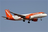 Alfonso Sols - Asociacin Canary Islands Spotting. Click to see full size photo