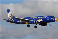 ©Alfonso Solís - Asociación Canary Islands Spotting. Click to see full size photo ©Alfonso Solís - Asociación Canary Islands Spotting. Click to see full size photo
