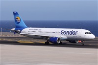 ©Alfonso Solís - Asociación Canary Islands Spotting. Click to see full size photo ©Alfonso Solís - Asociación Canary Islands Spotting. Click to see full size photo