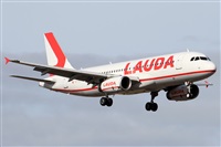 Alfonso Sols - Asociacin Canary Islands Spotting. Click to see full size photo