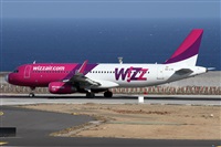 Alfonso Sols - Asociacin Canary Islands Spotting. Click to see full size photo