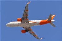 Miguel A. gueda Rguez.  (CANARY ISLANDS SPOTTING). Haz click para ampliar