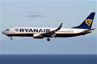 ©Alfonso Solís - Asociación Canary Islands Spotting. Click to see full size photo ©Alfonso Solís - Asociación Canary Islands Spotting. Click to see full size photo
