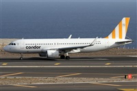 Alfonso Sols - Asociacin Canary Islands Spotting. Click to see full size photo
