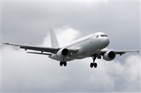 Adrin Alonso Lemes - Lanzarote Spotters. Click to see full size photo