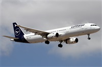 Alfonso Sols - Asociacin Canary Islands Spotting. Haz click para ampliar