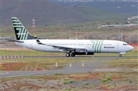 Miguel A. gueda Rguez.  (CANARY ISLANDS SPOTTING). Click to see full size photo