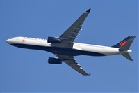 Miguel A. gueda Rguez.  (CANARY ISLANDS SPOTTING). Click to see full size photo