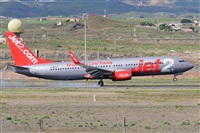 Miguel A. gueda Rguez.  (CANARY ISLANDS SPOTTING). Click to see full size photo