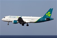 Florencio Martn Melin - Lanzarote Spotters. Click to see full size photo