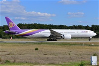 Miguel A. gueda Rguez.  (CANARY ISLANDS SPOTTING). Click to see full size photo