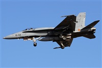 Alfonso Sols - Asociacin Canary Islands Spotting. Click to see full size photo
