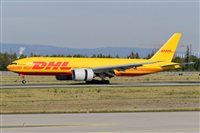 Miguel A. gueda Rguez.  (CANARY ISLANDS SPOTTING). Click to see full size photo