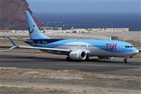 ©Alfonso Solís - Asociación Canary Islands Spotting. Click to see full size photo ©Alfonso Solís - Asociación Canary Islands Spotting. Click to see full size photo