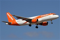 ©Alfonso Solís - Asociación Canary Islands Spotting. Click to see full size photo ©Alfonso Solís - Asociación Canary Islands Spotting. Click to see full size photo
