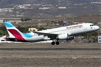 ©Alfonso Solís - Asociación Canary Islands Spotting. Click to see full size photo ©Alfonso Solís - Asociación Canary Islands Spotting. Click to see full size photo