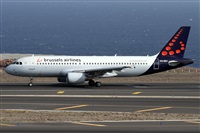 Alfonso Sols - Asociacin Canary Islands Spotting. Click to see full size photo