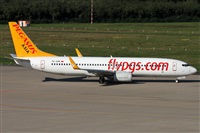 Daniel Schwinn. Click to see full size photo