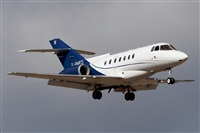 Saimon J Rodriguez   -   Canary Islands Spotting. Click to see full size photo