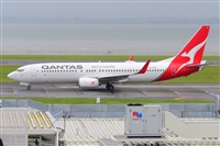�Miguel A. �gueda Rguez.  (CANARY ISLANDS SPOTTING). Click to see full size photo