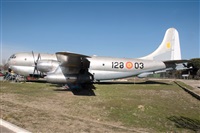 �Sergio Cambronero - Asociaci�n AIRE. Click to see full size photo