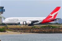 �Miguel A. �gueda Rguez.  (CANARY ISLANDS SPOTTING). Click to see full size photo