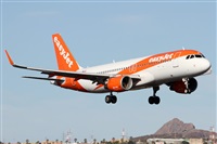 ©Alfonso Solís - Asociación Canary Islands Spotting. Click to see full size photo ©Alfonso Solís - Asociación Canary Islands Spotting. Click to see full size photo