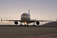 Javier de la Cruz - CANARY ISLANDS SPOTTING. Click to see full size photo