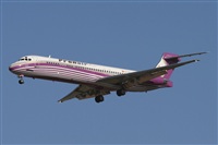 Jos Miguel Bernases - Noisy Spotters. Click to see full size photo