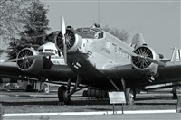 ©La Roche Spotters. Click to see full size photo