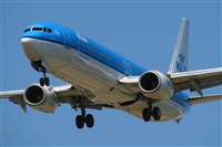Rodrigo Carvalho - Noisy Spotters. Click to see full size photo
