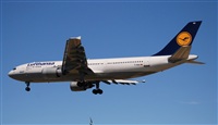 Rubn Gil - Noisy Spotters. Click to see full size photo
